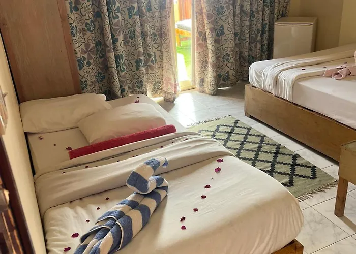Divers House Otel 2*